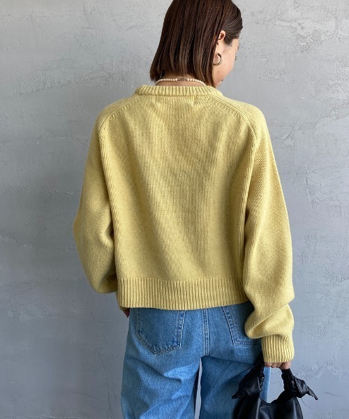 THE SHINZONE（ザ　シンゾーン）の「[THE SHINZONE/ザ シンゾーン] ショート丈クルーネックニット（ニット/セーター・レディース・パープル/イエロー/ブラウン・F）」の13枚目の写真