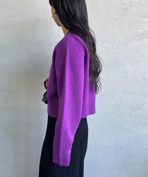 THE SHINZONE（ザ　シンゾーン）の「[THE SHINZONE/ザ シンゾーン] ショート丈クルーネックニット（ニット/セーター・レディース・パープル/イエロー/ブラウン・F）」の22枚目の写真