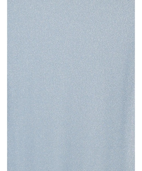 Te chichi(テチチ)の「ラメタートルネックトップス(Tシャツ/カットソー・レディース・グレー/グリーン/ブルー・F)」の7枚目の写真