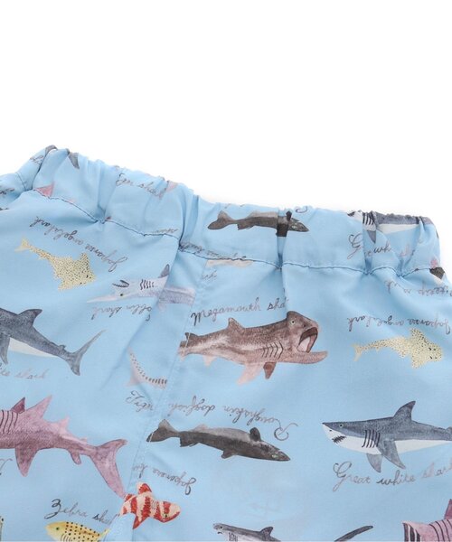 セール】サメ図鑑総柄トランクス水着（水着）｜BIT'Z（ビッツ