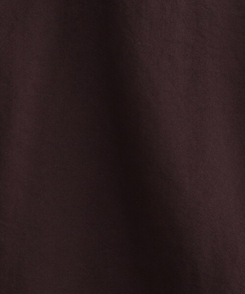 INDIVI（インディヴィ）の「【洗える】大人シアーオーバーシャツ（シャツ/ブラウス・レディース・ライトベージュ/ブラック/ボルドー/モスグリーン・05/38/34/19/15 /13）」の17枚目の写真