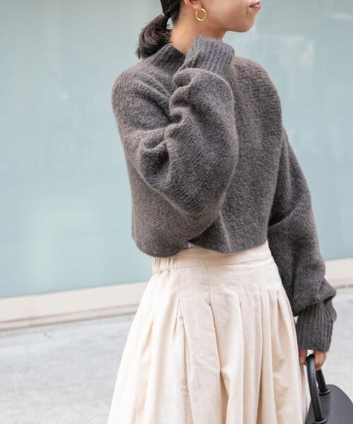 FORK&SPOON（フォークアンドスプーン）の「FORK&SPOON　アルパカ混クロップドニット（ニット/セーター・レディース・グレー/ダークブラウン・1）」の4枚目の写真