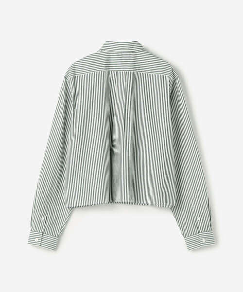 GYMPHLEX（ジムフレックス）の「Gymphlex | コットン ショートボタンダウンシャツ STRIPE WOMEN（シャツ/ブラウス・レディース・グリーン系その他・14）」の3枚目の写真