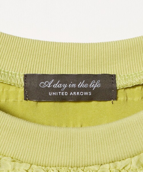 A DAY IN THE LIFE UNITED ARROWS(アデイインザライフユナイテッドアローズ)の「シャーリングボーダー ショートスリーブカットソー<A DAY IN THE LIFE>(Tシャツ/カットソー・レディース・ブラック/イエロー/オフホワイト・FREE)」の8枚目の写真