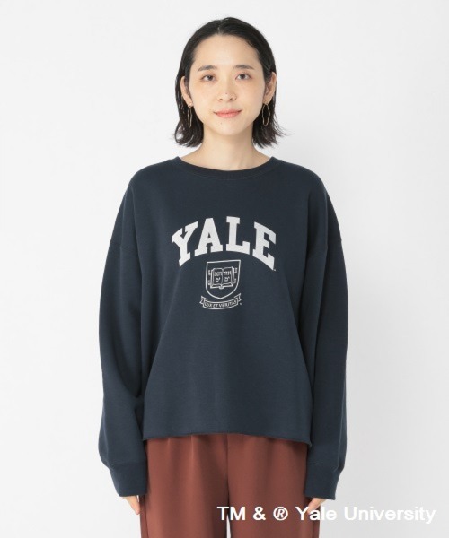 studio CLIP(スタディオクリップ)の「YALEスウェットプルオーバー(Tシャツ/カットソー・レディース・ライトグレー/ネイビー/オフホワイト・FREE)」の14枚目の写真