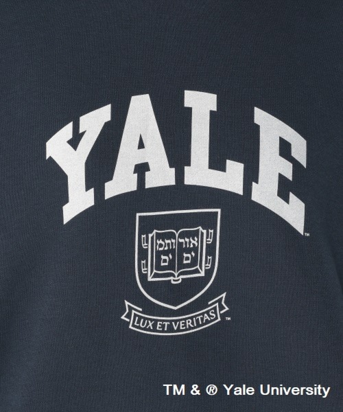 studio CLIP(スタディオクリップ)の「YALEスウェットプルオーバー(Tシャツ/カットソー・レディース・ライトグレー/ネイビー/オフホワイト・FREE)」の15枚目の写真
