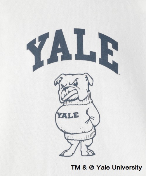 studio CLIP(スタディオクリップ)の「YALEスウェットプルオーバー(Tシャツ/カットソー・レディース・ライトグレー/ネイビー/オフホワイト・FREE)」の7枚目の写真