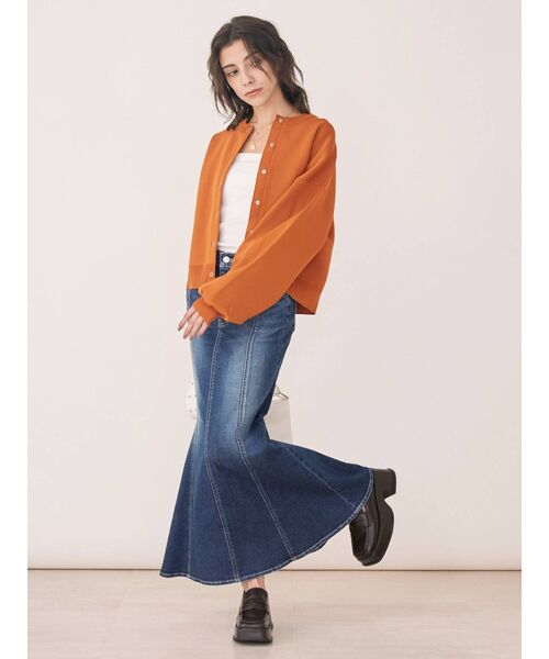 EVRIS(エヴリス)の「マーメイドロングデニムスカート(デニムスカート・レディース・ブルー/ライトブルー・SMALL/MEDIUM)」の19枚目の写真