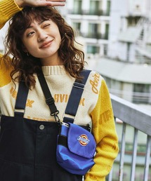 Dickies | 《Dickies × AVIREX》MINI SHOULDER BAG/ ミニショルダーバッグ(ショルダーバッグ)