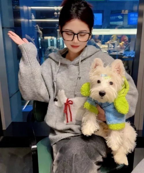 犬服バンドメイド　イエローパーカー アディドッグ（ADIDOG） 犬服 夏物 洋服 犬 夏服 メッシュ 通気