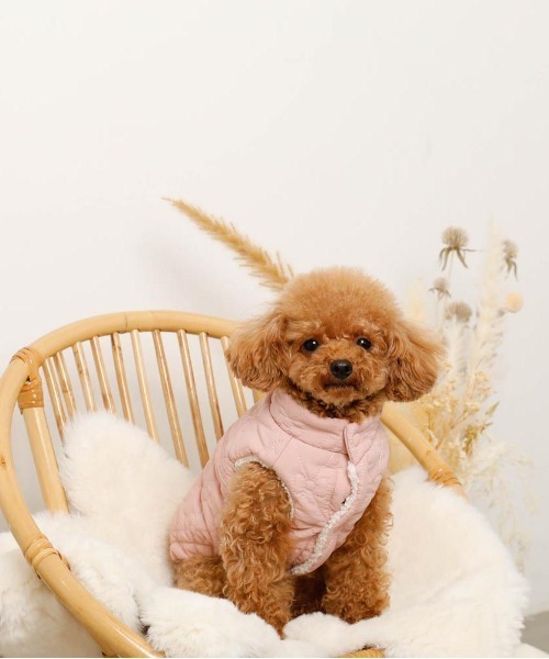 リバーシブルリボンキルティングボアベスト（ペットウェア）｜moncheri