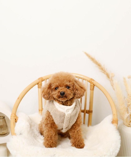 リバーシブルリボンキルティングボアベスト（ペットウェア）｜moncheri