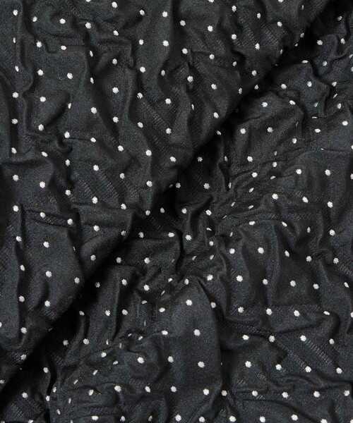 ANAYI(アナイ)の「ドットジャガードヨークギャザーフレアスカート(スカート・レディース・ブラック・36/38/34)」の2枚目の写真