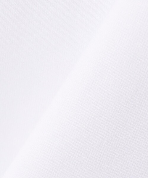 GALERIE VIE(ギャルリー ヴィー)の「ファインコットン ボートネックプルオーバー(Tシャツ/カットソー・レディース・ホワイト/ベージュ系その他/グレー系その他/ネイビー/ブルー系その他/ライトグレー/ブラック系その他・FREE)」の17枚目の写真