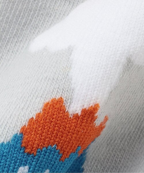 kladskap（クレードスコープ）の「恐竜ショートソックス2足セット（ソックス/靴下・キッズ・ベージュ/ブラック・L(18-20cm)/M(16-18cm)/S(13-15cm)/11-13cm）」の7枚目の写真