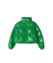 AVANDRESS（アバンドレス ）の「Siberia Duck Shiny Crop Padding GREEN（ダウンジャケット/コート）」