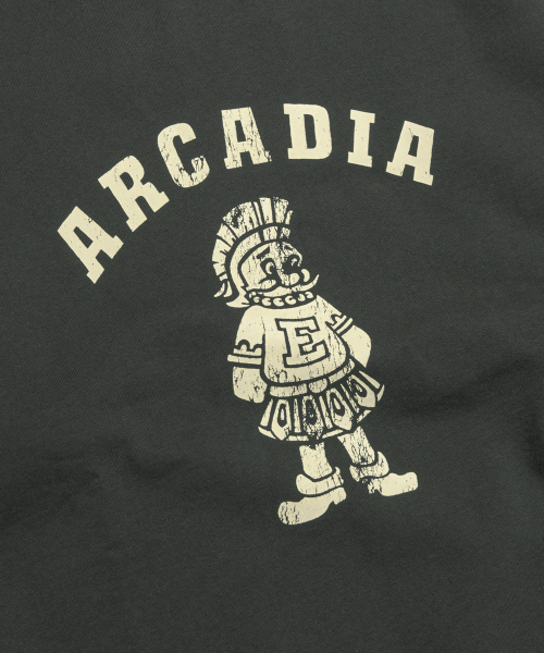 ESPIONAGE（エスピオナジ）の「Knight Mascot Heavyweight Sweatshirt Vintage Black（スウェット・メンズ・その他・MEDIUM/LARGE/X-LARGE）」の5枚目の写真