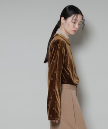 Heve バブリーブラウス　ベロアトップス ブラウン Heve バブリーブラウス ベロアトップス ブラウン お値下げ！ヘイブ