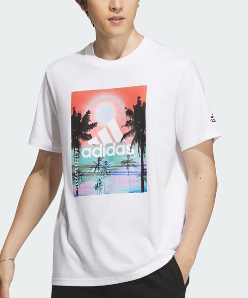 adidas◆Originals basketball グラフィックTシャツ 2色 送料込 楽天市場】【ネコポス配送】アディダス オリジナルス 半袖T