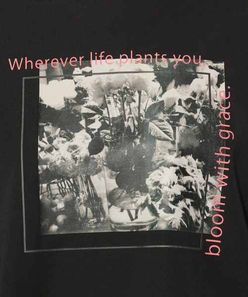 Elura(エルーラ)の「ポンチフォトTシャツ/289200(Tシャツ/カットソー・レディース・ブラック/ホワイト/ホワイト系その他6・MEDIUM/LARGE)」の4枚目の写真