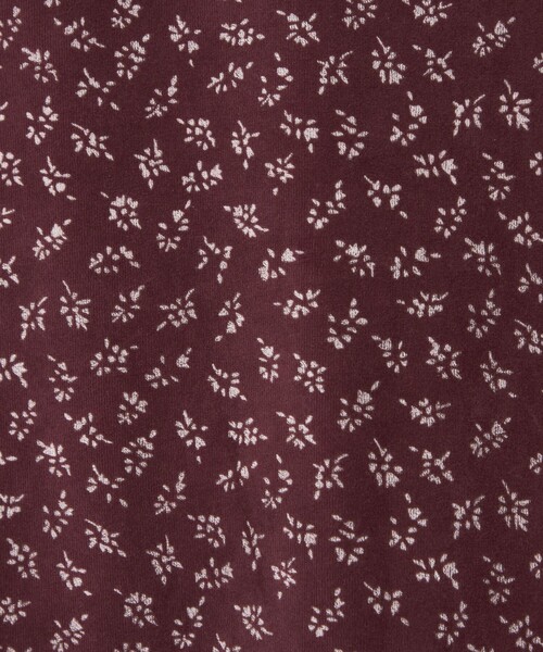 Steven Alan（スティーブンアラン）の「＜Steven Alan＞フラワー ベロア Tシャツ（Tシャツ/カットソー・レディース・ワインレッド/ブラック・FREE）」の17枚目の写真