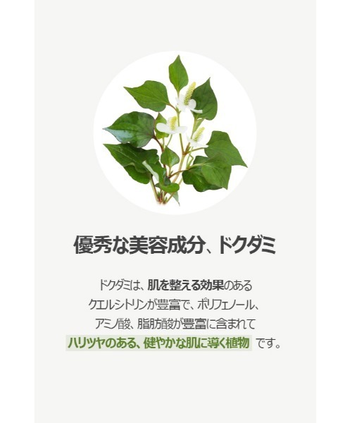 ONE THING（ワンシング）の「【ONE THING/ワンシング】HOUTTUYNIA CORDATA EXTRACT 150ml(ドクダミ化粧水)（化粧水・レディース・ホワイト・FREE）」の9枚目の写真