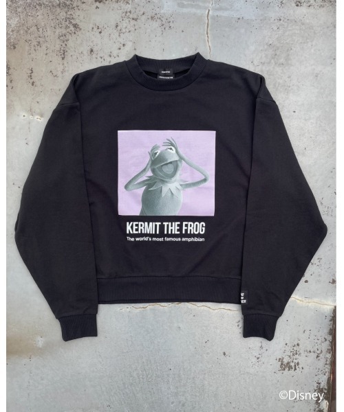 FIG&VIPER（フィグアンドバイパー）の「Kermit MID PO（Tシャツ/カットソー・レディース・ブラック/カーキ/ブルー・FREE）」の5枚目の写真