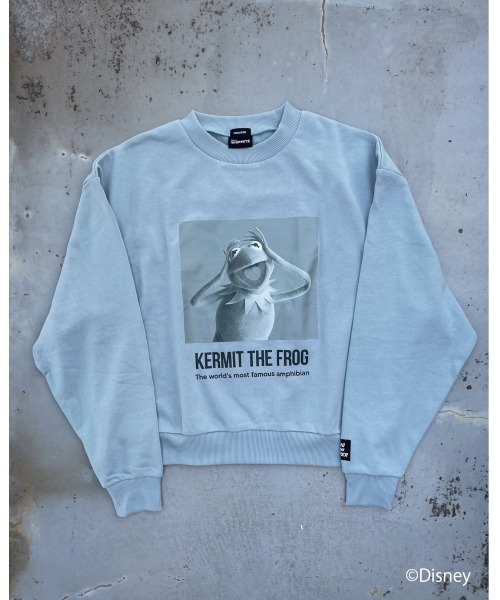 FIG&VIPER（フィグアンドバイパー）の「Kermit MID PO（Tシャツ/カットソー・レディース・ブラック/カーキ/ブルー・FREE）」の18枚目の写真