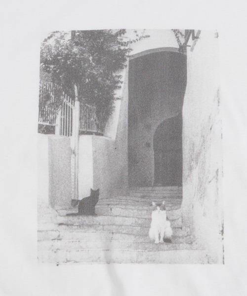 LEPSIM（レプシィム）の「PHOTO-T　115165（Tシャツ/カットソー・レディース・ホワイト系その他/ホワイト/ブラック・FREE）」の12枚目の写真