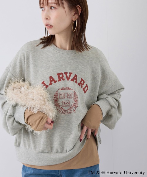 ROPE' PICNIC(ロペピクニック)の「YALE&HARVARD/プリントスウェット(スウェット・レディース・グレー/ネイビー・38)」の21枚目の写真