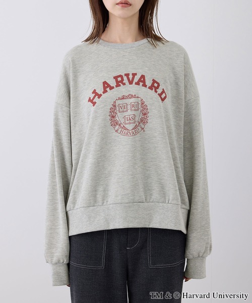 ROPE' PICNIC(ロペピクニック)の「YALE&HARVARD/プリントスウェット(スウェット・レディース・グレー/ネイビー・38)」の18枚目の写真