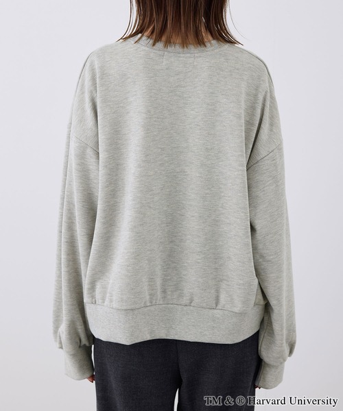 ROPE' PICNIC(ロペピクニック)の「YALE&HARVARD/プリントスウェット(スウェット・レディース・グレー/ネイビー・38)」の8枚目の写真