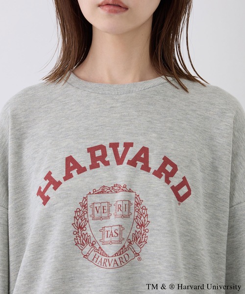 ROPE' PICNIC(ロペピクニック)の「YALE&HARVARD/プリントスウェット(スウェット・レディース・グレー/ネイビー・38)」の9枚目の写真