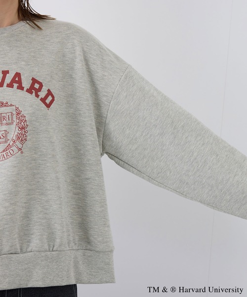 ROPE' PICNIC(ロペピクニック)の「YALE&HARVARD/プリントスウェット(スウェット・レディース・グレー/ネイビー・38)」の10枚目の写真