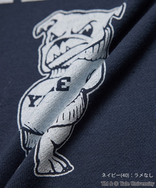 ROPE' PICNIC(ロペピクニック)の「YALE&HARVARD/プリントスウェット(スウェット・レディース・グレー/ネイビー・38)」の3枚目の写真