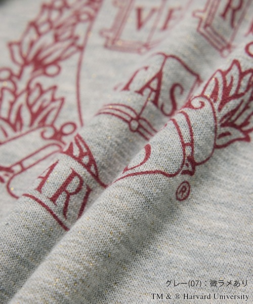 ROPE' PICNIC(ロペピクニック)の「YALE&HARVARD/プリントスウェット(スウェット・レディース・グレー/ネイビー・38)」の5枚目の写真