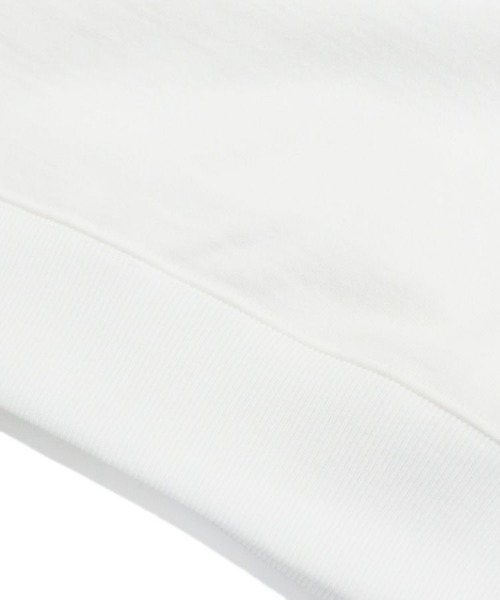 alvana（アルヴァナ）の「【alvana】SPROUT VINTAGE DRY SWEAT  [ALV-00106]（スウェット・メンズ・ブラック系その他・2）」の7枚目の写真