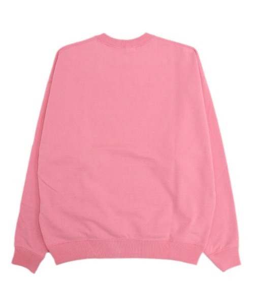 alvana（アルヴァナ）の「【alvana】SPROUT VINTAGE DRY SWEAT  [ALV-00106]（スウェット・メンズ・ブラック系その他・2）」の21枚目の写真