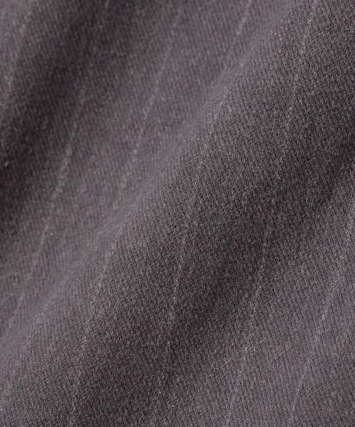 B:MING by BEAMS(ビーミングバイビームス)の「ストライプ ジャージー パンツ(その他パンツ・メンズ・グレー/ネイビー・XL/L/M/S)」の6枚目の写真