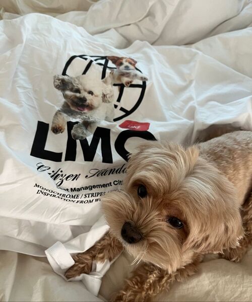 LMCの「フライングパピー ロングSLV TEE ホワイト(Tシャツ/カットソー・レディース・その他・L/XL/S/M)」の7枚目の写真