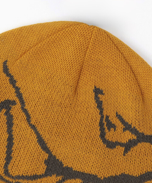 ARC'TERYX/アークテリクス バード ヘッド トーク/Bird Head Toque