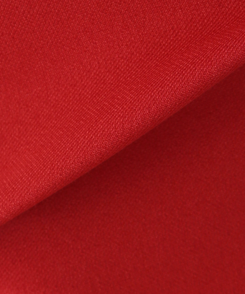 DAIRIKU(ダイリク)の「【DAIRIKU / ダイリク】Long Polyester Skirt(スカート・レディース・レッド・23)」の21枚目の写真