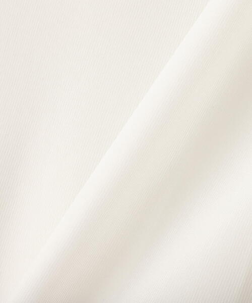 PROPORTION BODY DRESSING(プロポーションボディドレッシング)の「ハイネックシアーカットソー / 1214160100(Tシャツ/カットソー・レディース・ブラック/ホワイト・FREE)」の18枚目の写真