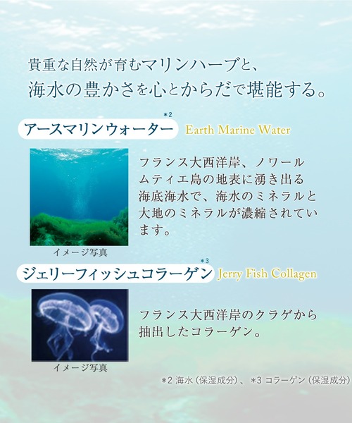 ハウス オブ ローゼ(ハウス オブ ローゼ)の「ハウスオブローゼ / アクアファヴール マリンハーブスパ ボディパウダー 47g(その他ボディ・ヘアケア・レディース・その他・FREE)」の2枚目の写真