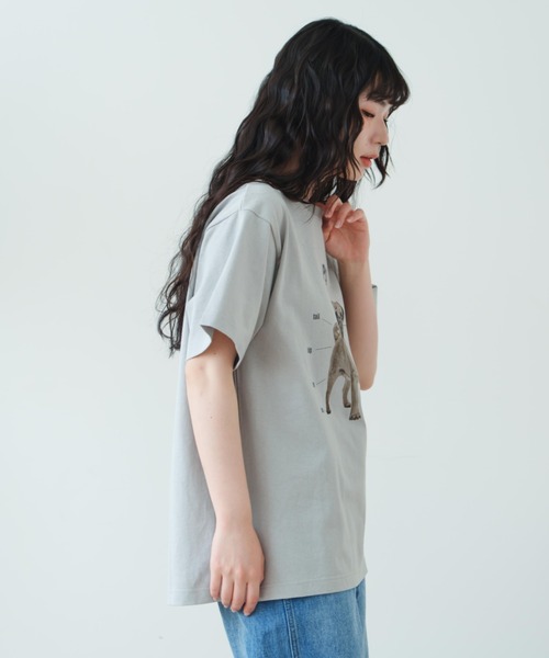 eLur（エラー）の「ドッグプリントTシャツ（Tシャツ/カットソー・レディース・アイボリー/ライトブルー/グレー・FREE）」の5枚目の写真