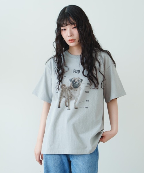eLur（エラー）の「ドッグプリントTシャツ（Tシャツ/カットソー・レディース・アイボリー/ライトブルー/グレー・FREE）」の4枚目の写真