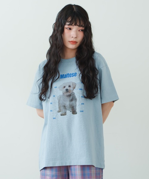eLur（エラー）の「ドッグプリントTシャツ（Tシャツ/カットソー・レディース・アイボリー/ライトブルー/グレー・FREE）」の12枚目の写真