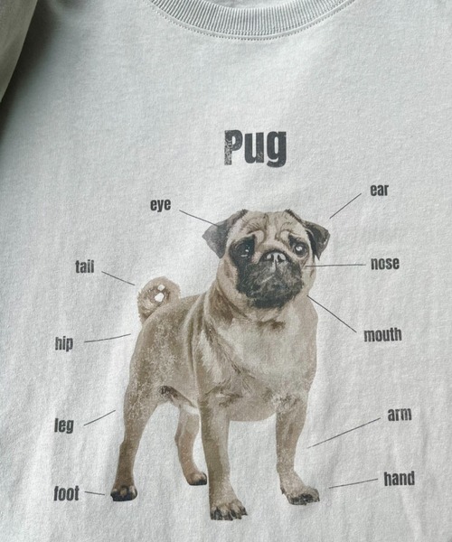 完売品　eLur ドッグスウェット pug 完売品 eLur ドッグスウェット pug eLur】ドッグプリントTシャツ（T
