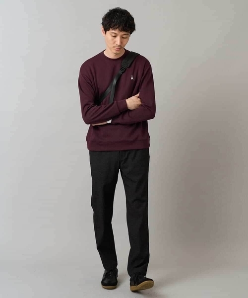 a.v.v（アーヴェヴェ）の「【イージーケア/毛玉になりにくい】アゼダブルフェイスワンポイント刺繍プルオーバー（Tシャツ/カットソー・メンズ・アイボリー/ブラック/ダークグリーン/ダークオレンジ/ボルドー/オレンジ・48/52/50/46）」の15枚目の写真