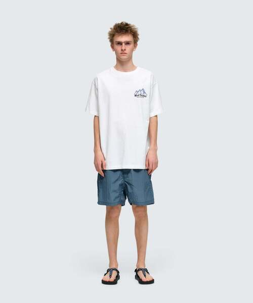 WILD THINGS(ワイルドシングス)の「ワイルドマウンテン S/S Tシャツ│WILD MOUNTAIN S/S TEE(Tシャツ/カットソー・メンズ・イエロー系その他2/チャコールグレー/ホワイト/グレー系その他3・XL/L/M/S)」の7枚目の写真